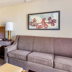 Queen Studio Sofa Bed Balcony or Patio